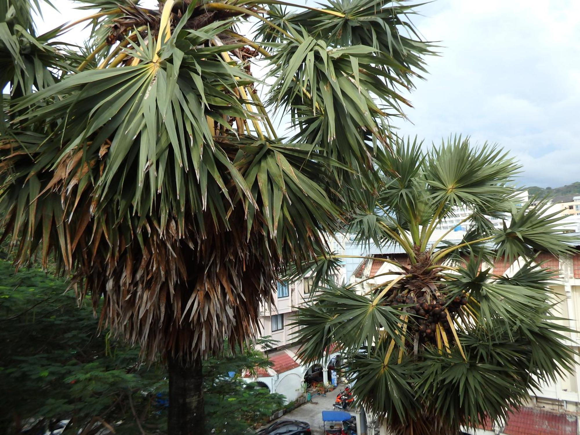 Boomerang Inn Phuket Ngoại thất bức ảnh
